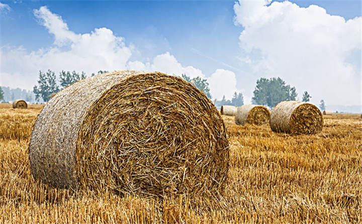 玉米秸稈顆粒機的壓縮，天然就能成型，而起會很結實