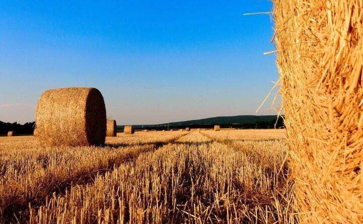 支持生物質(zhì)能取暖,補貼爐具2000元、燃料600元/噸 支持生物質(zhì)能取暖,補貼爐具2000元、燃料600元/噸