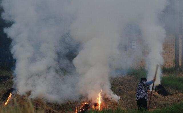 秸稈焚燒 秸稈焚燒