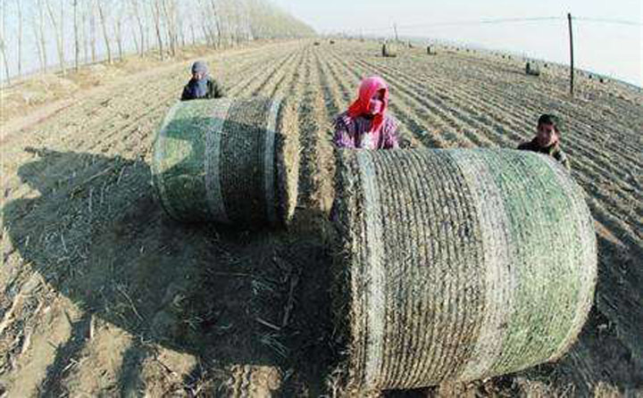 農(nóng)林剩余物豐富 農(nóng)林剩余物豐富