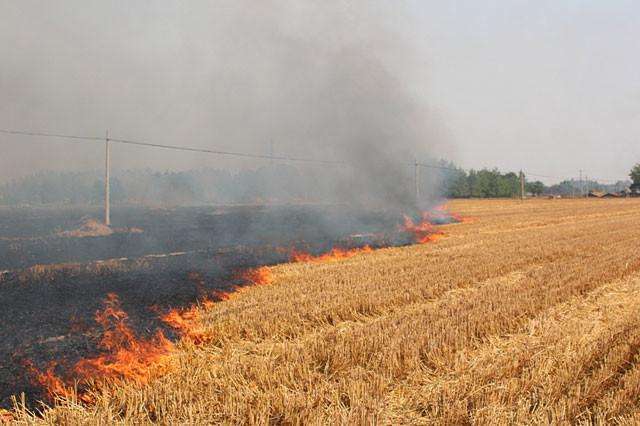 農民焚燒秸稈 農民焚燒秸稈