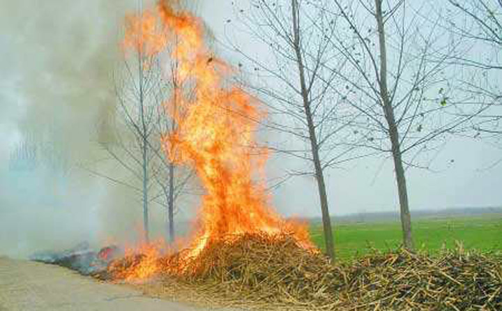 秸稈焚燒產生滾滾濃煙 秸稈焚燒產生滾滾濃煙