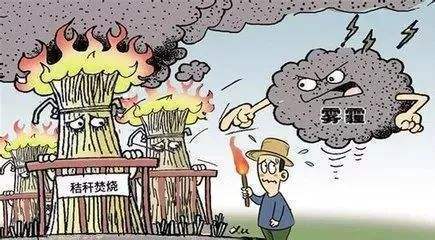 秸稈焚燒產生危害 秸稈焚燒產生危害