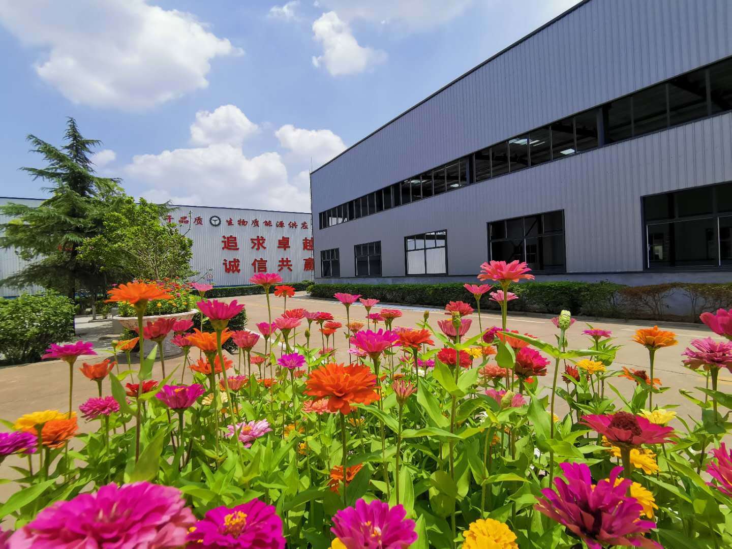 顆粒機廠家 顆粒機廠家