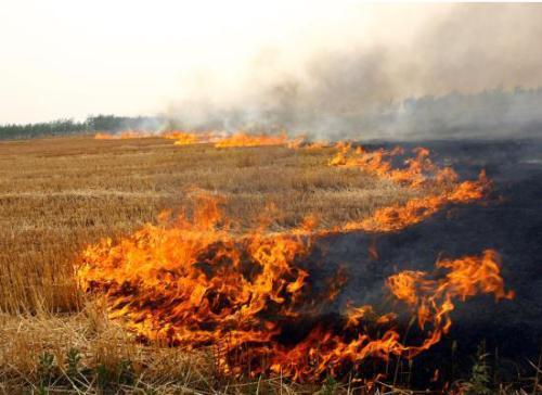 秸稈焚燒造成嚴重環境污染 秸稈焚燒造成嚴重環境污染