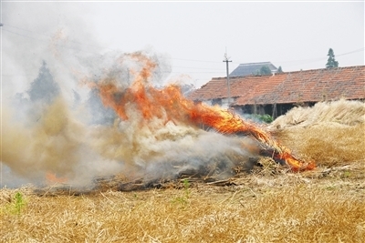 大量秸稈無處堆放被焚燒 大量秸稈無處堆放被焚燒