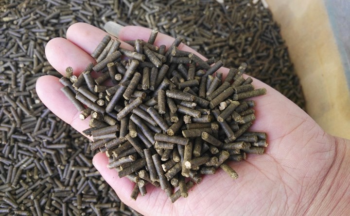 秸稈制粒機加工的生物質顆粒 秸稈制粒機加工的生物質顆粒