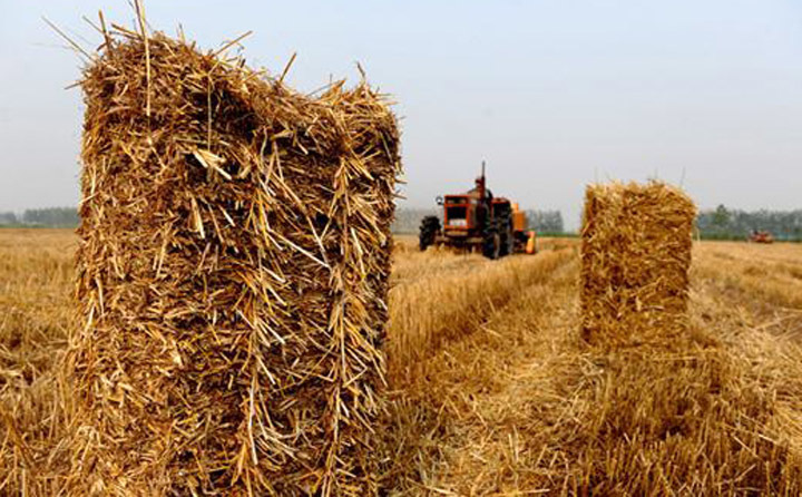 湖北秸稈綜合利用 湖北秸稈綜合利用