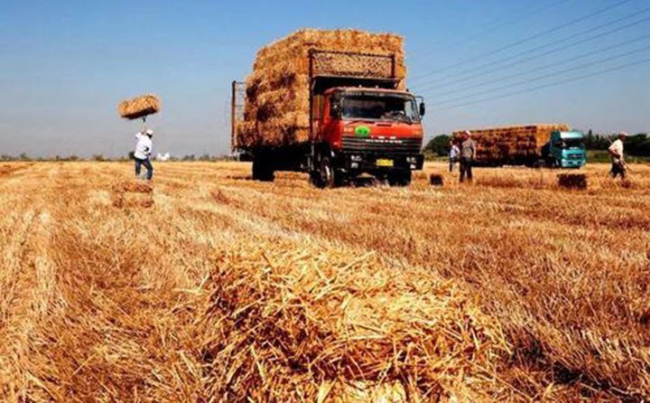 吉林秸稈綜合利用 吉林秸稈綜合利用