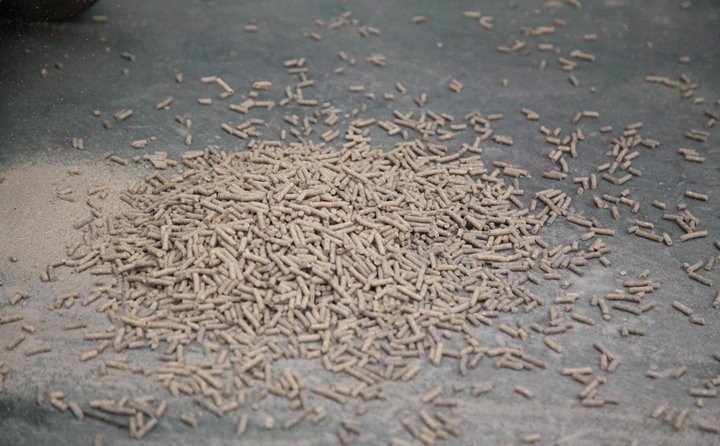 顆粒質(zhì)量展示 顆粒質(zhì)量展示