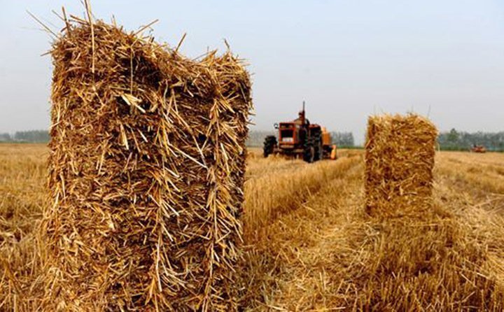 廣西秸稈綜合利用 廣西秸稈綜合利用