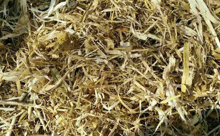 甘蔗秸稈 甘蔗秸稈