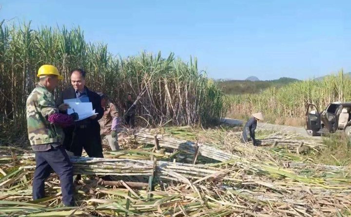 農作物秸稈 農作物秸稈