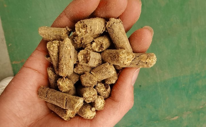 秸稈飼料顆粒機提高秸稈利用率，飼料顆粒機是以玉米、豆粕、秸稈、草、稻殼等為原料，通過粉碎原料后直接壓制成顆粒的飼料加工機械。