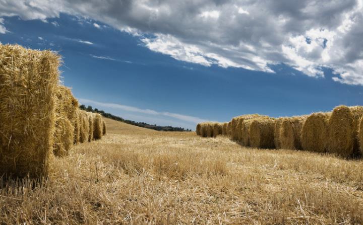 南昌縣廣福鎮(zhèn)助力秸稈循環(huán)利用 變廢為寶 實現(xiàn)三贏 南昌縣廣福鎮(zhèn)助力秸稈循環(huán)利用 變廢為寶 實現(xiàn)三贏