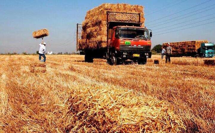 秸稈發電,清潔能源,生物質燃料 秸稈發電,清潔能源,生物質燃料
