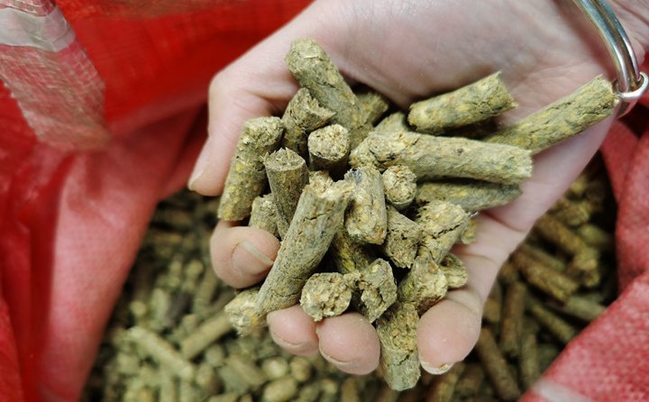 秸稈顆粒機(jī)就是將粉碎后的秸稈制成顆粒飼料,用于飼喂牛羊 秸稈顆粒機(jī)就是將粉碎后的秸稈制成顆粒飼料,用于飼喂牛羊