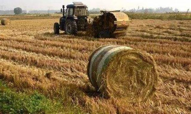 農(nóng)作物秸稈利用 農(nóng)作物秸稈利用