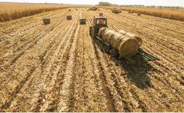 秸稈綜合利用 秸稈綜合利用