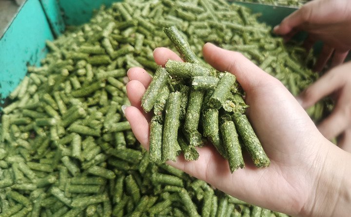 牧草秸稈飼料顆粒 牧草秸稈飼料顆粒