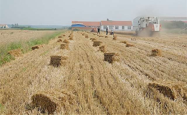 山西大同:小秸稈轉(zhuǎn)化大能量 廢棄料變身“金餑餑” 山西大同:小秸稈轉(zhuǎn)化大能量 廢棄料變身“金餑餑”