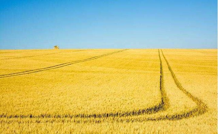 內蒙古秸稈資源的轉化與再利用成效顯著 內蒙古秸稈資源的轉化與再利用成效顯著