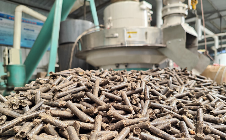 生物質顆粒燃料是用秸稈顆粒機將樹枝、秸稈、鋸末等農林廢棄物制成的新型清潔綠色燃料 生物質顆粒燃料是用秸稈顆粒機將樹枝、秸稈、鋸末等農林廢棄物制成的新型清潔綠色燃料