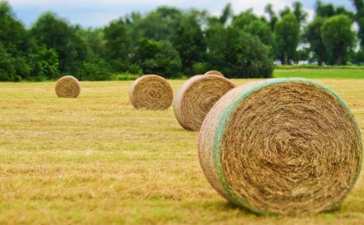 浙江省經(jīng)濟(jì)騰飛與秸稈利用相得益彰 浙江省經(jīng)濟(jì)騰飛與秸稈利用相得益彰