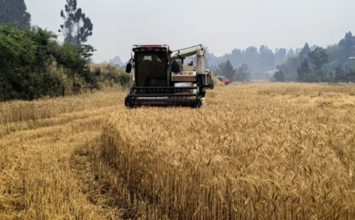 秸稈綜合利用 秸稈綜合利用