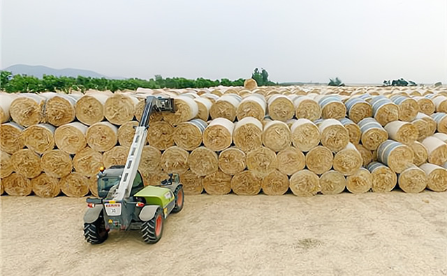 湖南省臨武縣:“秸”盡所能推進秸稈利用 湖南省臨武縣:“秸”盡所能推進秸稈利用