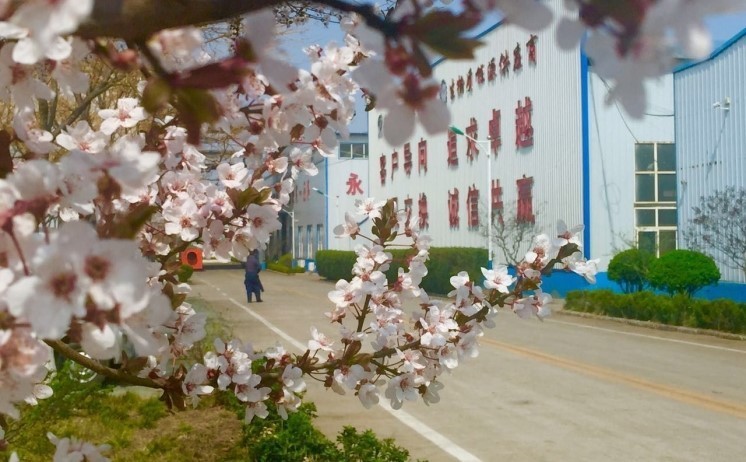 山東金格瑞的廠區(qū)一角美景