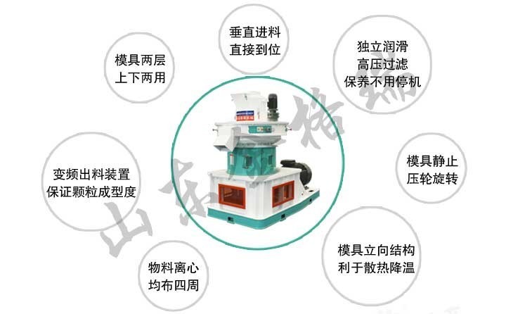 大蒜秸稈顆粒機(jī)和蒜皮顆粒機(jī)優(yōu)勢特點(diǎn) 大蒜秸稈顆粒機(jī)和蒜皮顆粒機(jī)優(yōu)勢特點(diǎn)